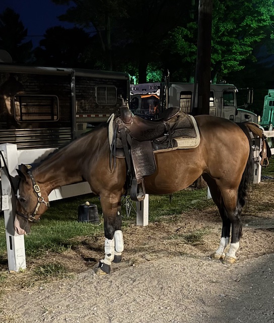 Farm Scene at Buttermilk Farm
