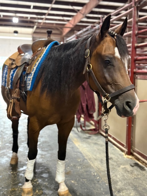 Farm Scene at Buttermilk Farm (IMG_0732)
