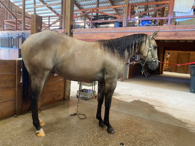Farm View at Buttermilk Farm (IMG_0838)