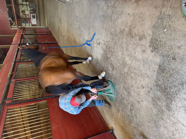 Farm View at Buttermilk Farm (IMG_1265)